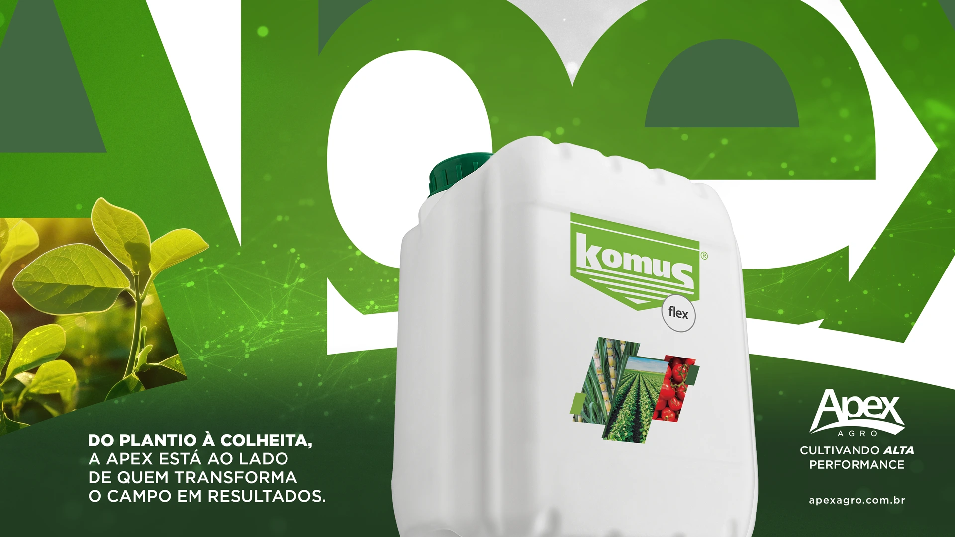 Projeto Apex