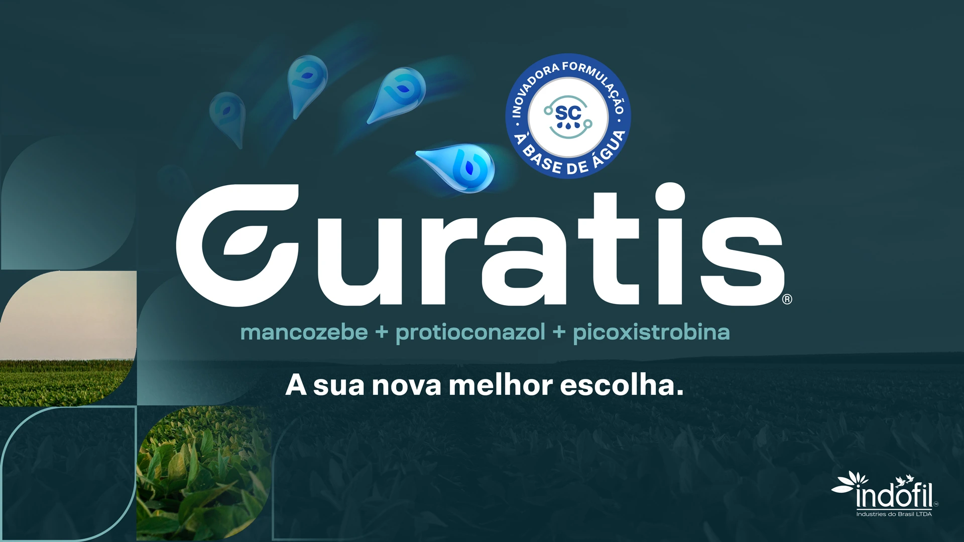Projeto Curatis