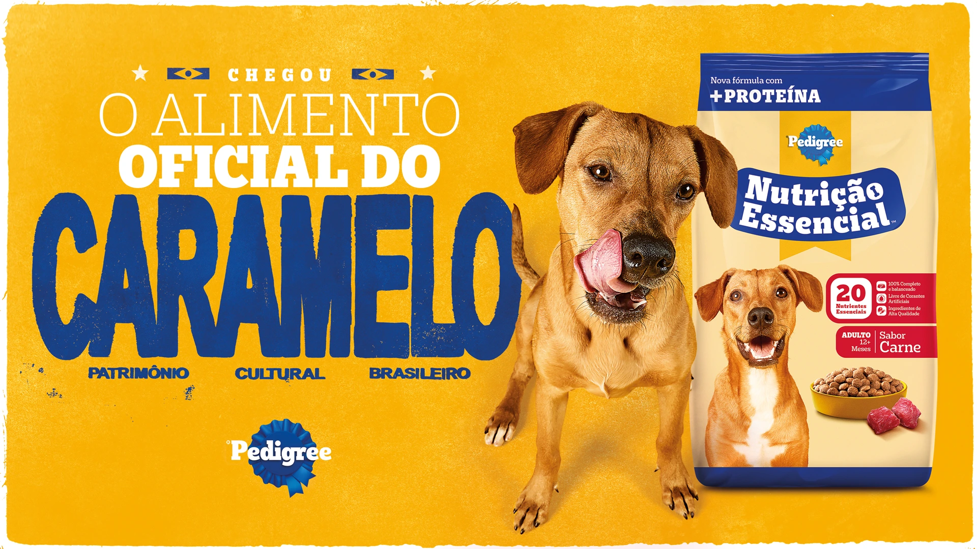 Projeto Pedigree